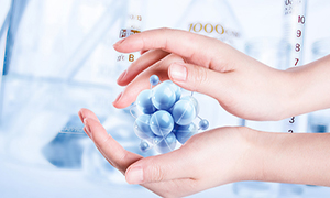 �t�W��ˎ���g��Q����